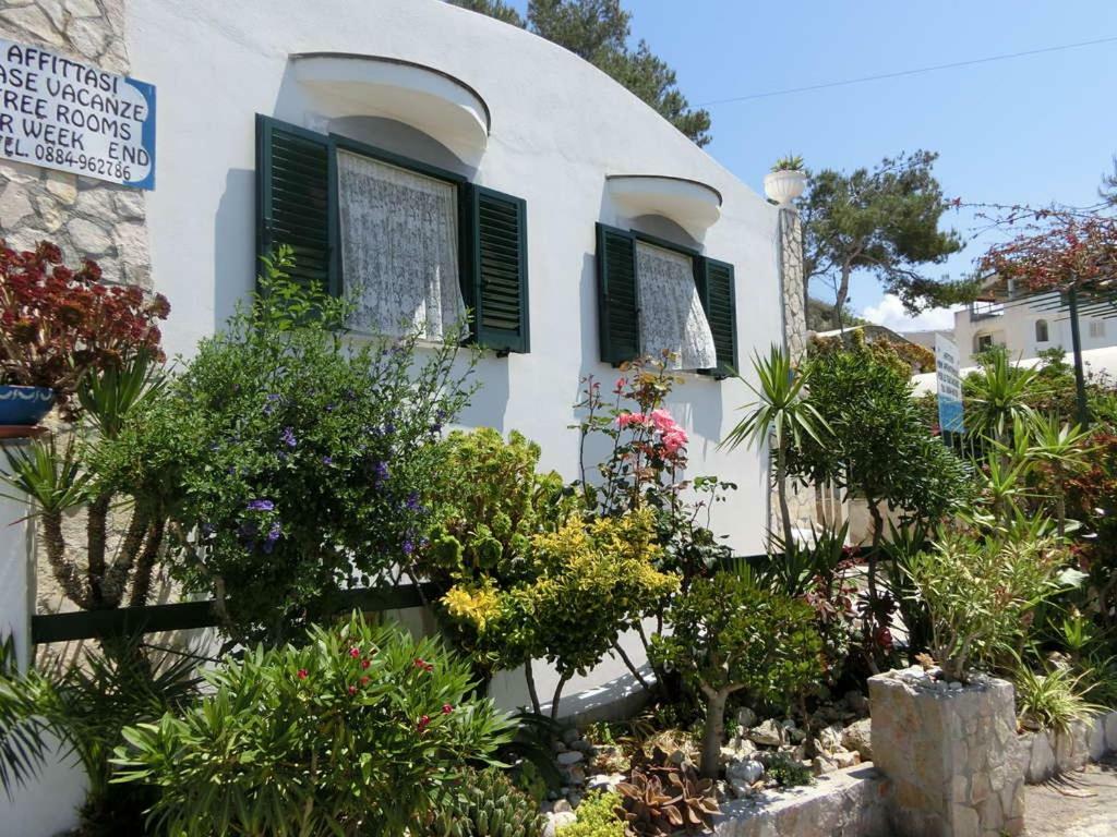 פסקיצ'י Blu Marine Casa A 10Mt Dalla Spiaggia מראה חיצוני תמונה